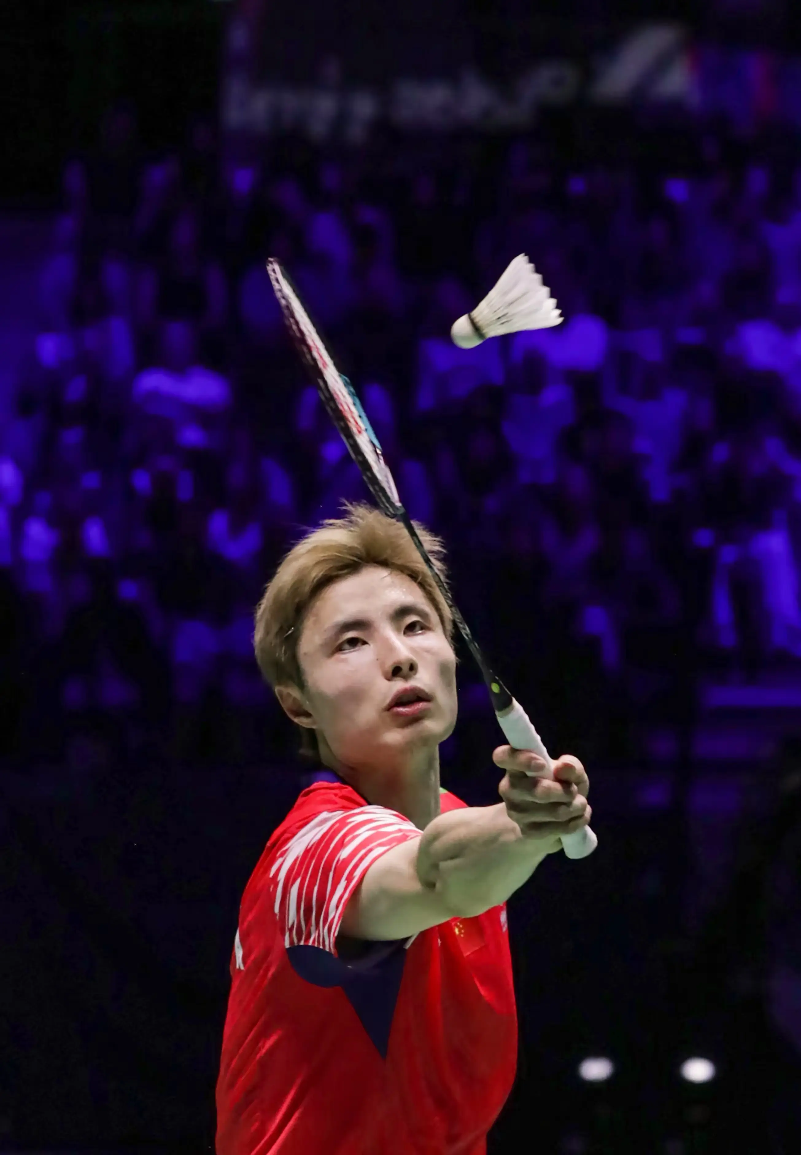 丰富进攻手, amp