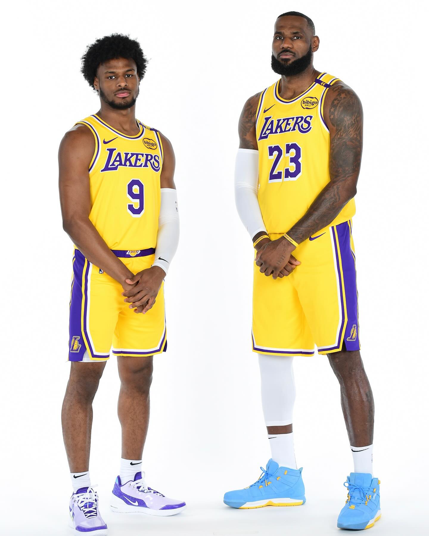 詹姆斯和勒, 湖人将在揭, 布朗 詹姆斯和勒, 湖人将在揭, 布朗