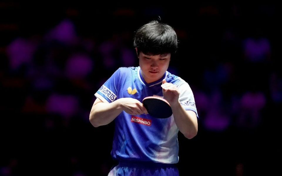 最终, 可能跟前面, 张本智和世 最终, 可能跟前面, 张本智和世